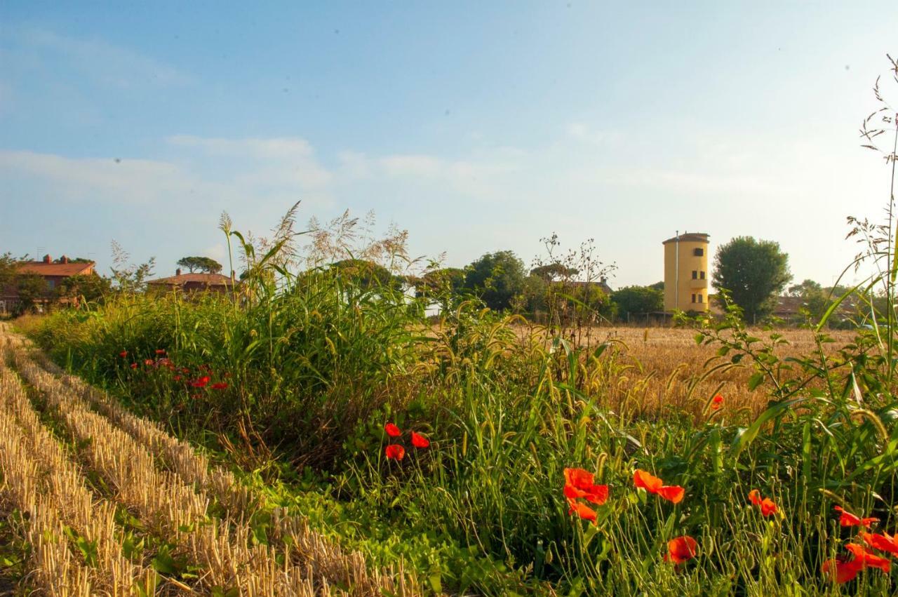 Il Silos Maccarese Zewnętrze zdjęcie