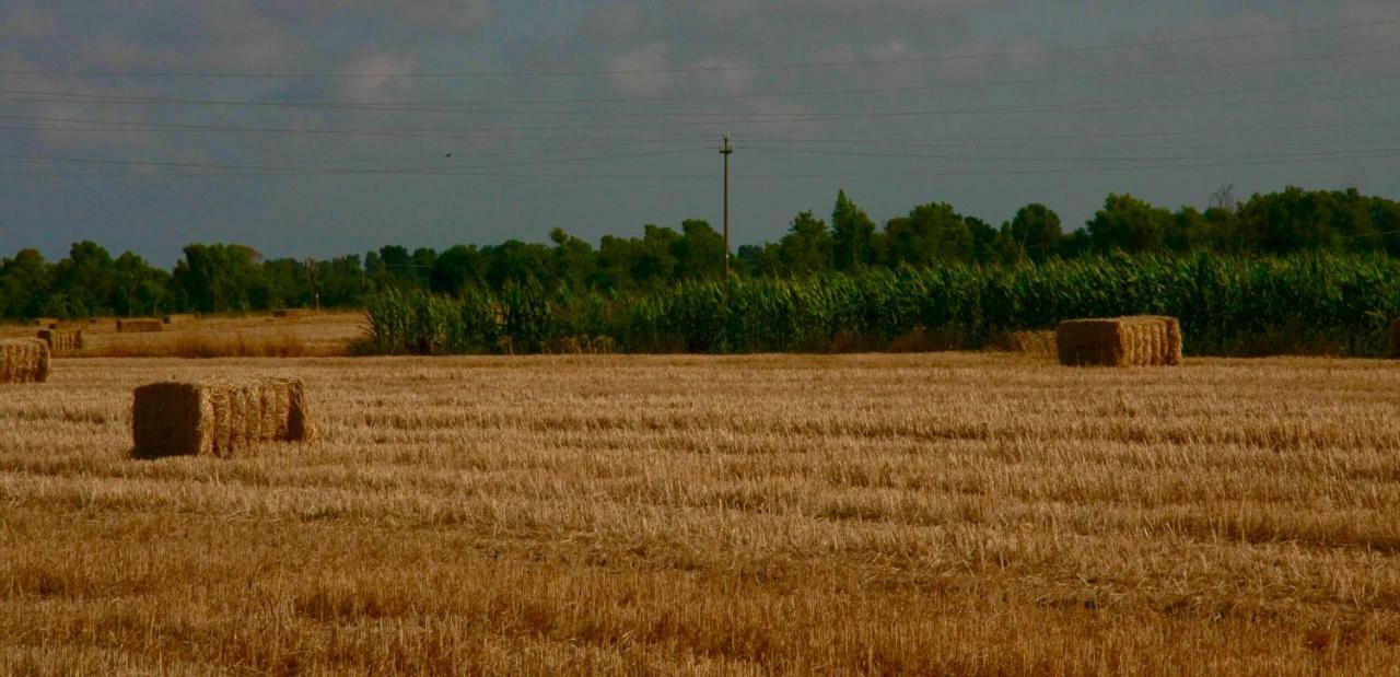Il Silos Maccarese Zewnętrze zdjęcie
